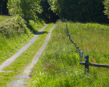 Ein Weg führt durch eine grüne Wiese