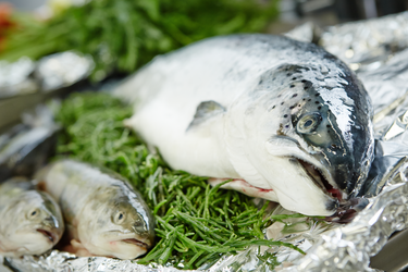 Frischer Fisch auf Eis in Nahaufnahme