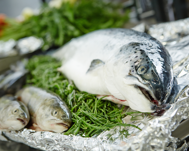 Frischer Fisch auf Eis in Nahaufnahme