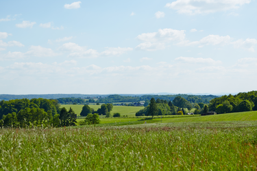 Landschaft mit grüner Wiese und weitem Ausblick