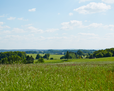 Landschaft mit grüner Wiese und weitem Ausblick